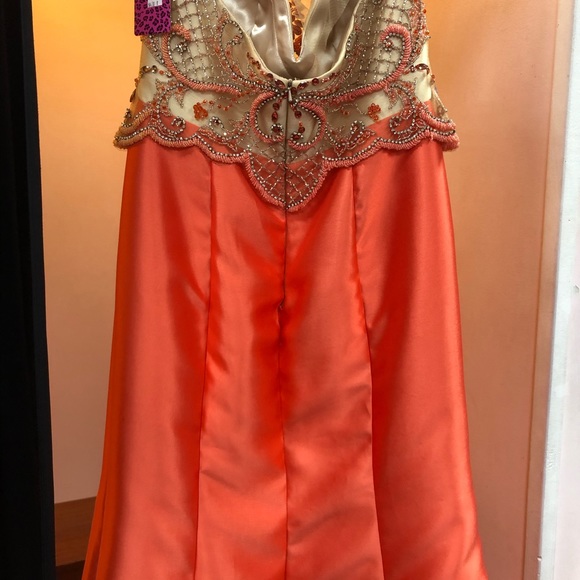 NWT ORANGE AND NUDE DRESS - Picture 6 of 6